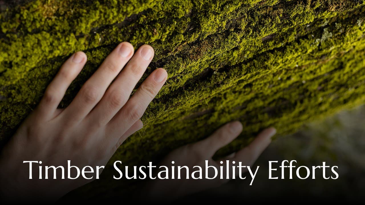 Calvary Carpentry Sustainability Report 2025