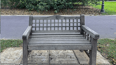 Balau Bench Revitalisation