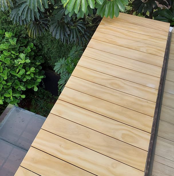 Silver Transformation Before